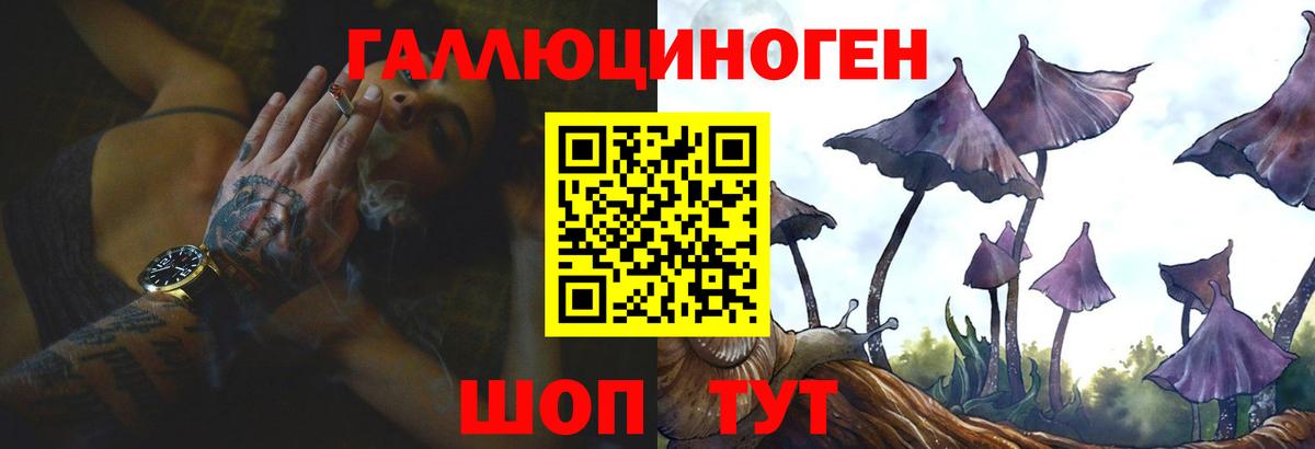 Тула  Псилоцибиновые грибы прущие грибы  Вход с VPN 
